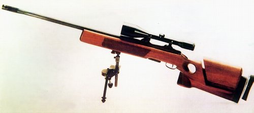 ssg2000.jpg (15260 字节)